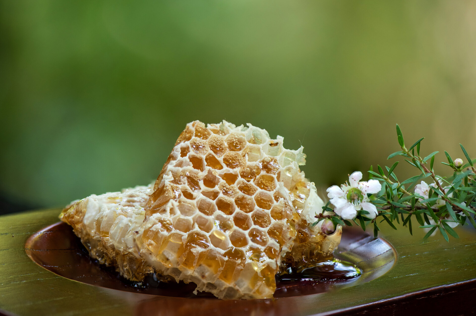 Manuka-Honig und Blumen auf Naturhintergrund.