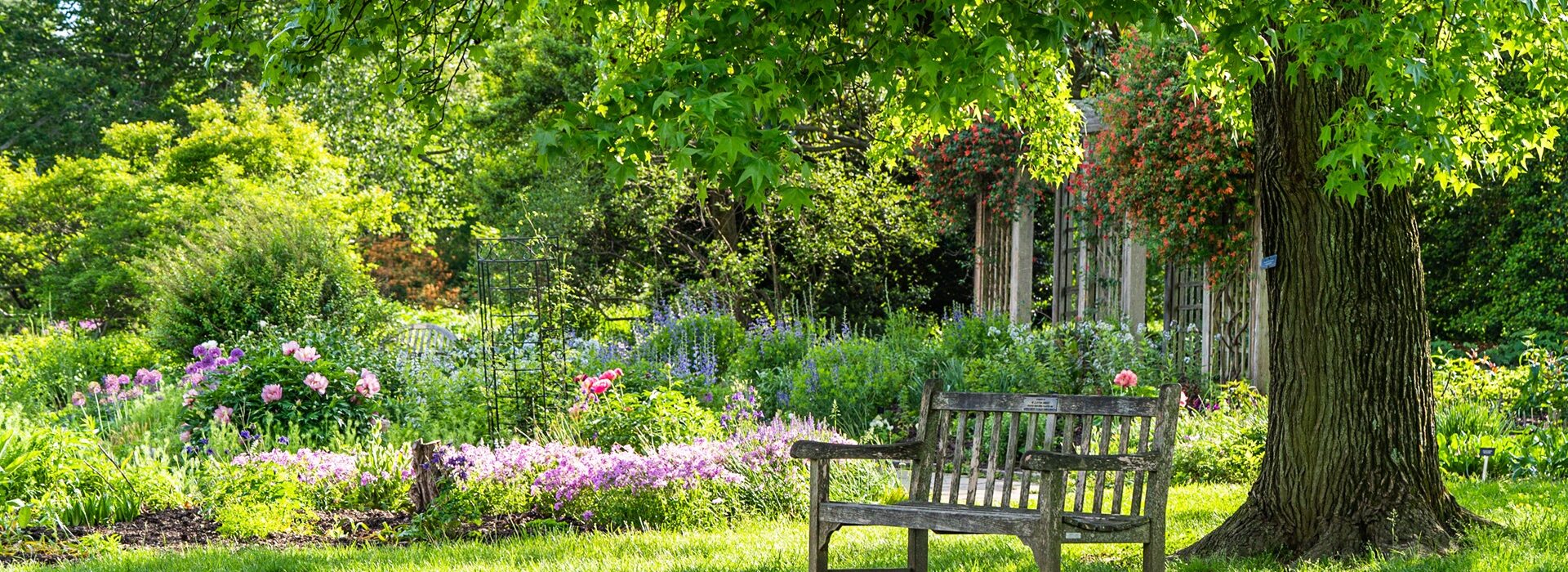 Sitzbank unter Baum im Naturgarten | Mülltonnenbox 4er