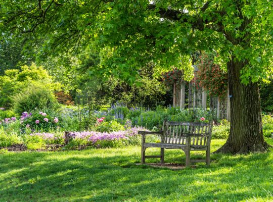 Sitzbank unter Baum im Naturgarten | Mülltonnenbox 4er