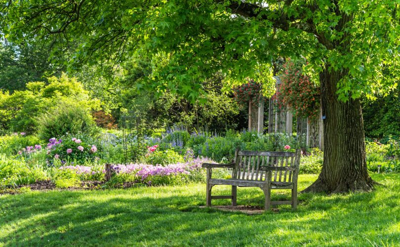 Sitzbank unter Baum im Naturgarten | Mülltonnenbox 4er