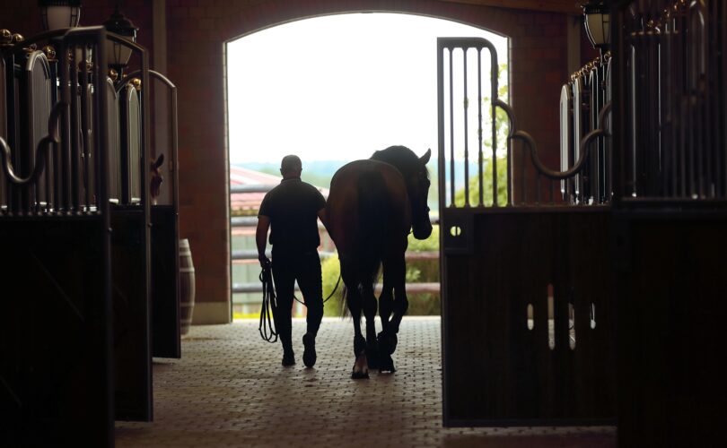 Mann führt Pferd durch Stall | Heunetze