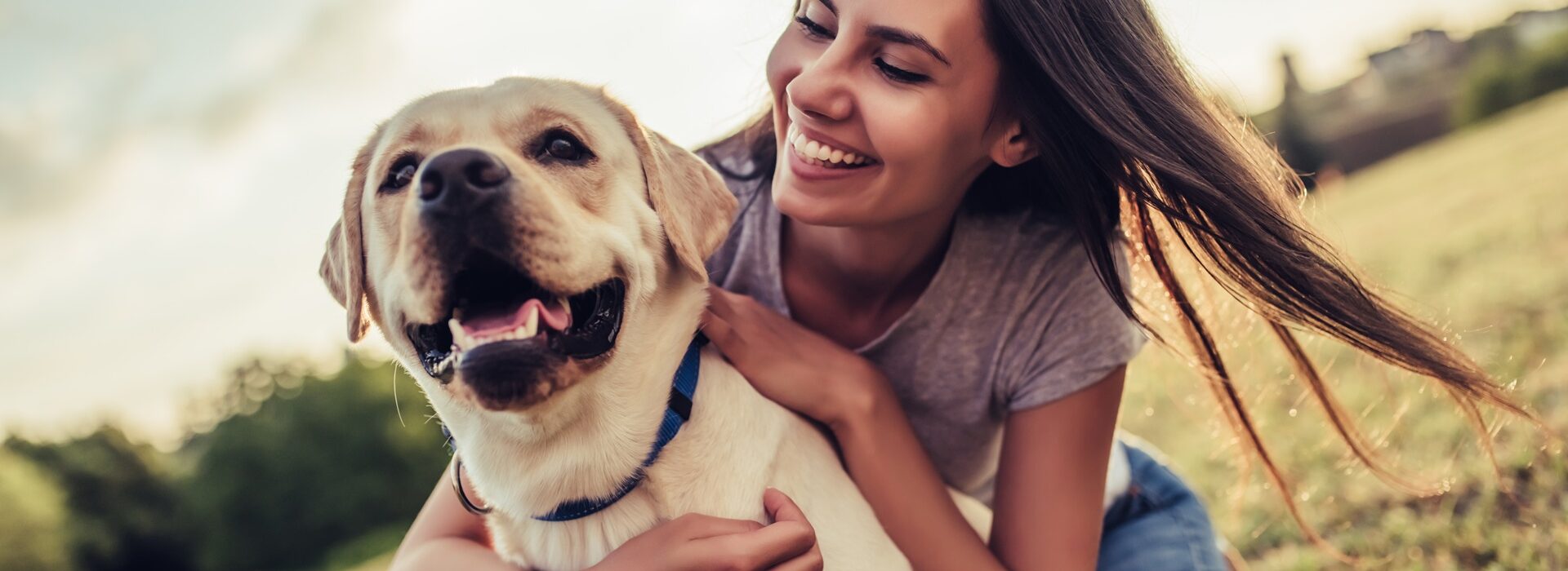 Frau umarmt glücklichen Labrador im Park | Bio Hundefutter